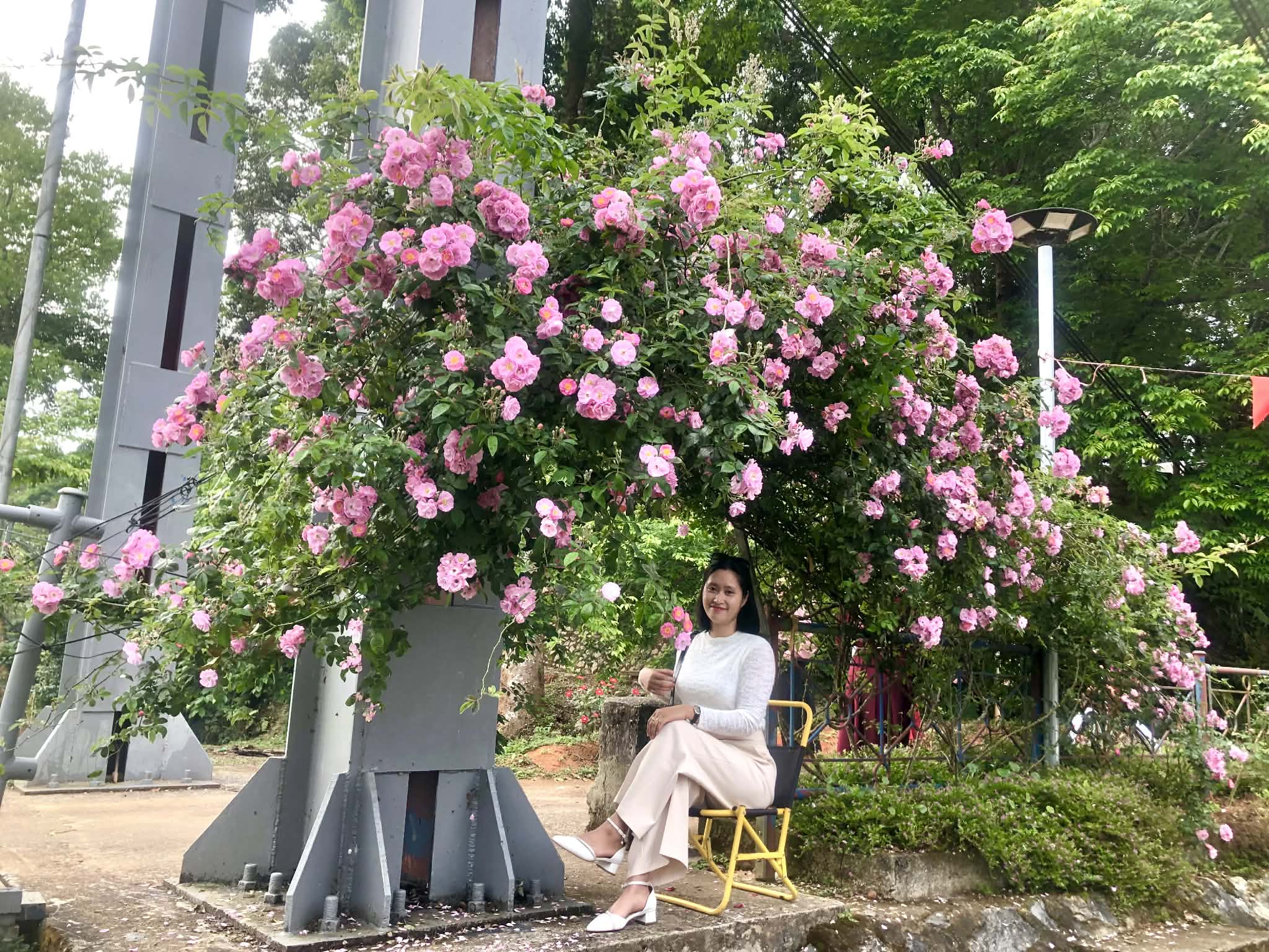 Album ảnh