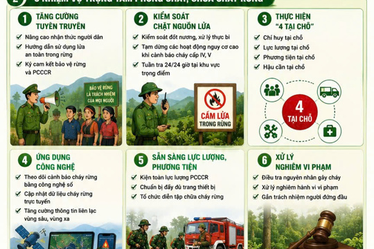 Infographic: Tiếp tục chủ động, tăng cường công tác phòng cháy, chữa cháy rừng trên địa bàn tỉnh
