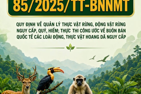 Cung tìm hiểu một số Quy định về quản lý loài nguy cấp, quý, hiếm, loài động vật rừng thông thường