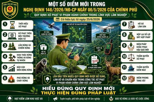 Một số điểm mới tại Nghị định 146/2026/NĐ-CP ngày 06/5/2026 của Chính phủ Quy định xử phạt VPHC trong lĩnh vực lâm nghiệp.