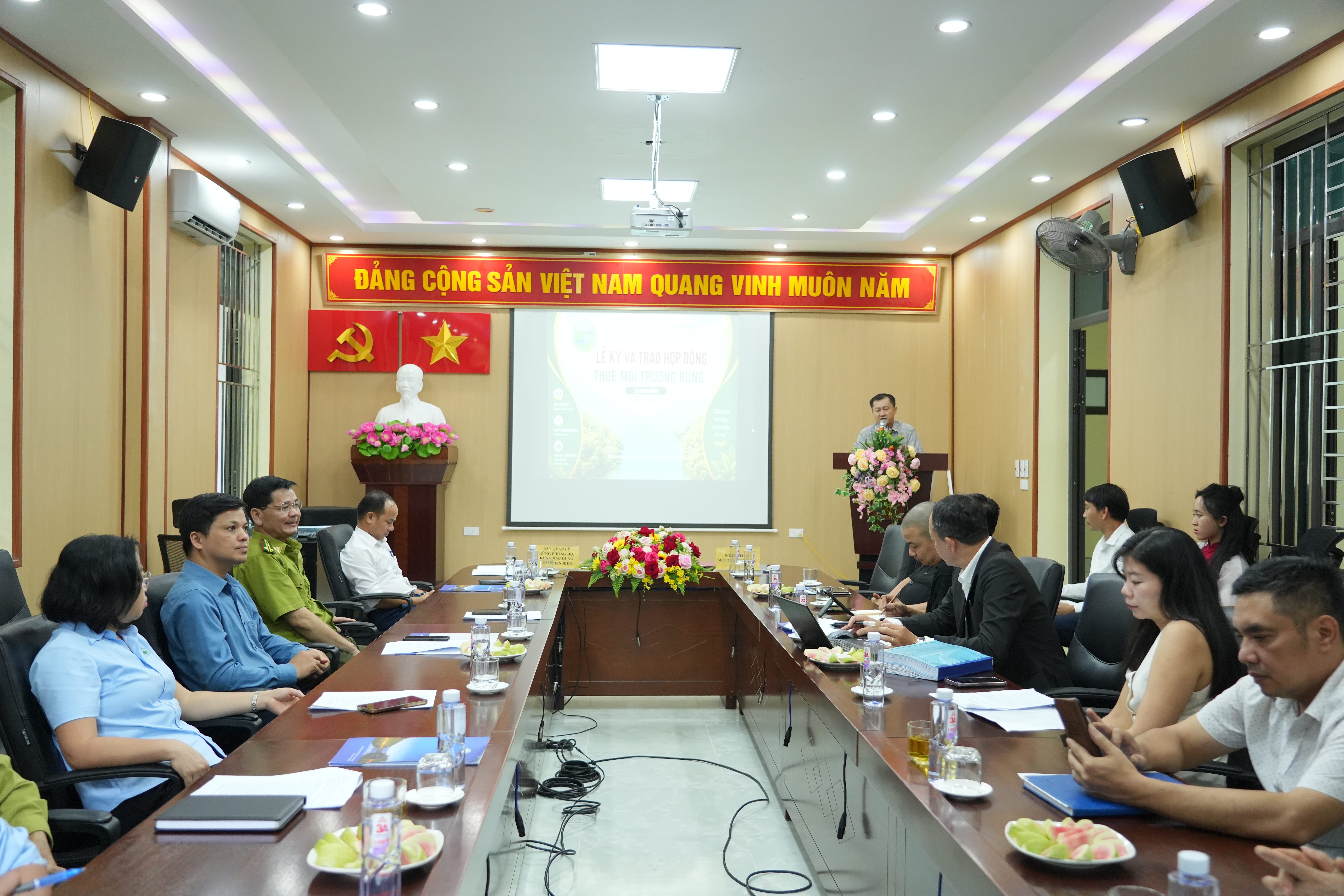 Thuê môi trường rừng