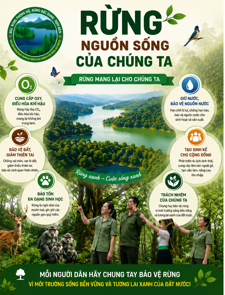 Cùng nhau tìm hiểu vai trò, tác dụng của "RỪNG" đối với đời sống của chúng ta