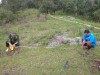 Kiểm tra khoảng cách giữa các cây, các hàng
