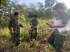 Phối hợp UBND xã Mường Phăng, Pá Khoang kiểm tra Dự án “Trồng, chăm sóc rừng trồng thay thế diện tích rừng chuyển sang mục đích sử dụng khác để thực hiện dự án Xây dựng Thao trường khu vực hướng Tây Quân khu 2" năm thứ nhất (năm 2024)
