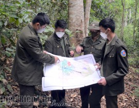 Tuần tra, kiểm tra.jpg